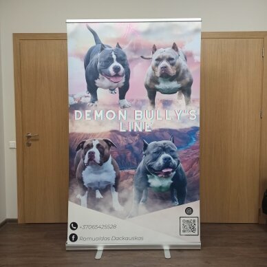 Mobilus reklaminis stendas ROLL UP STANDARD 120X200 cm 5