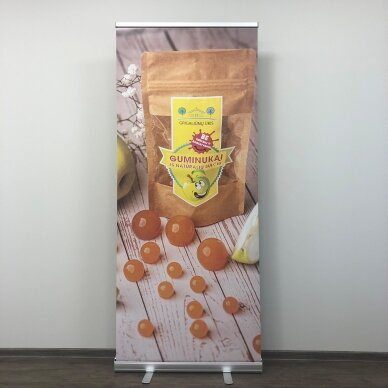 Mobilus reklaminis stendas ROLL UP LUX 85X200 cm 8