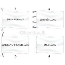 Žemaitijos vėliava su ,,runomis'' (be antkaklio) (4)